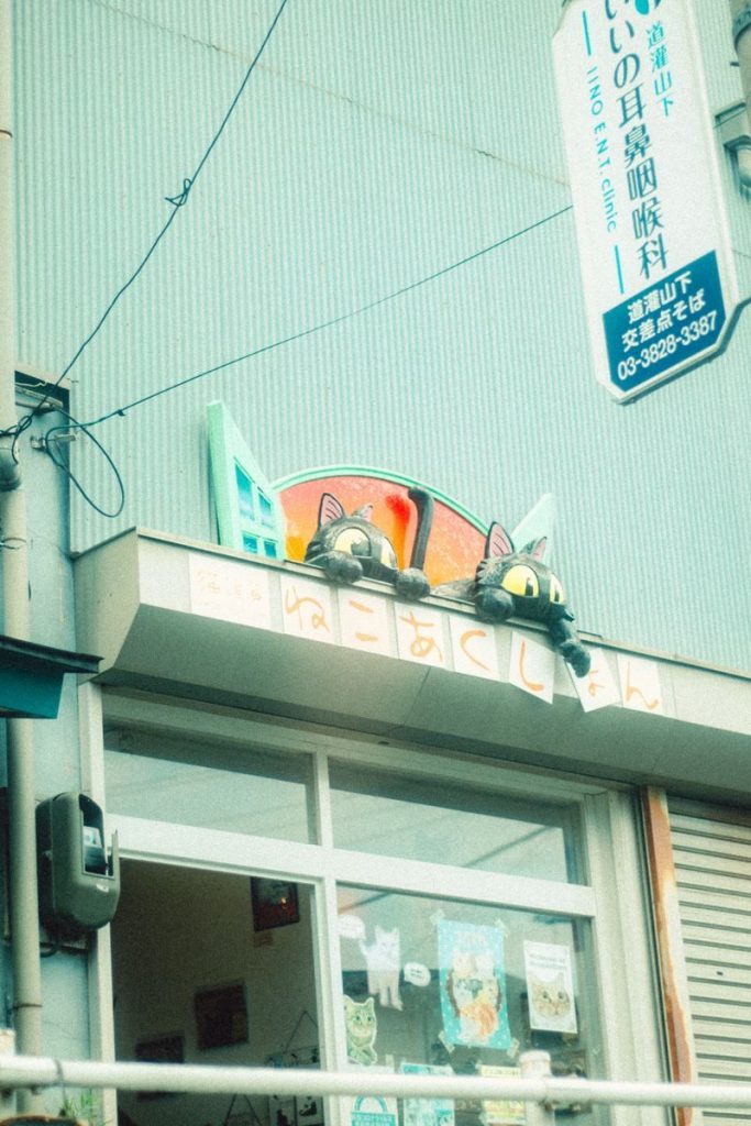 Whimsical cat sculpture peering from rooftop window, adding charm to a city street.