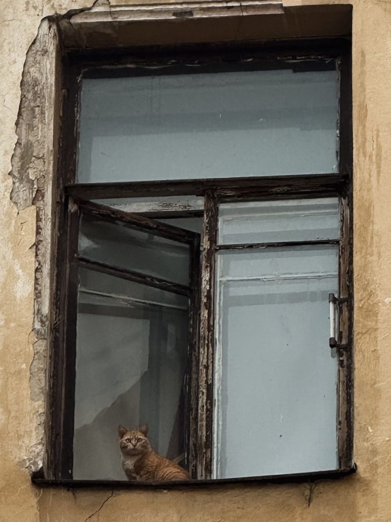 A ginger cat gazes outside from a rustic urban window.