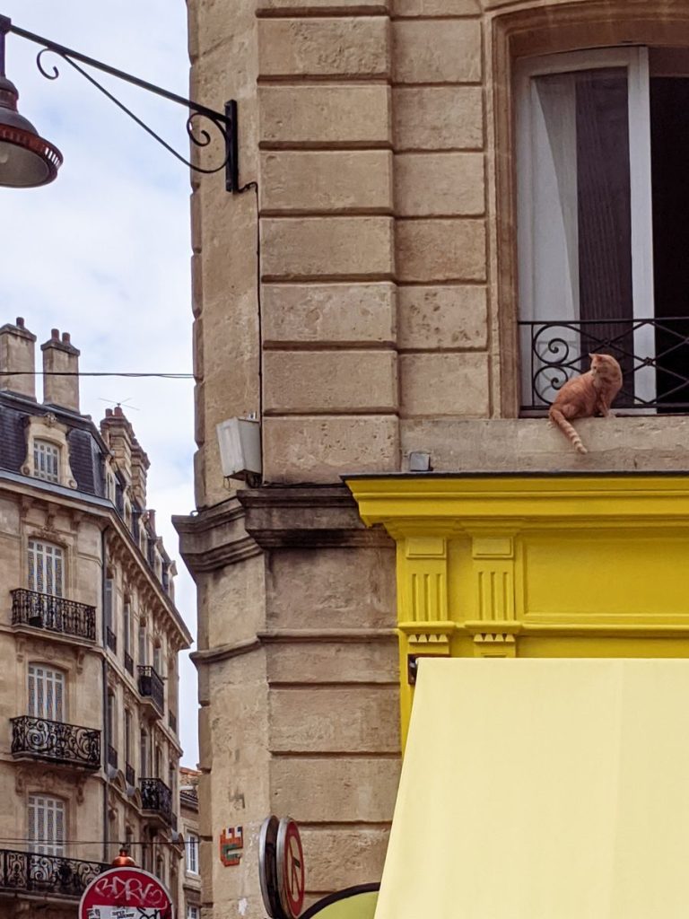 A ginger cat sits on a window ledge of a classic Bordeaux building.