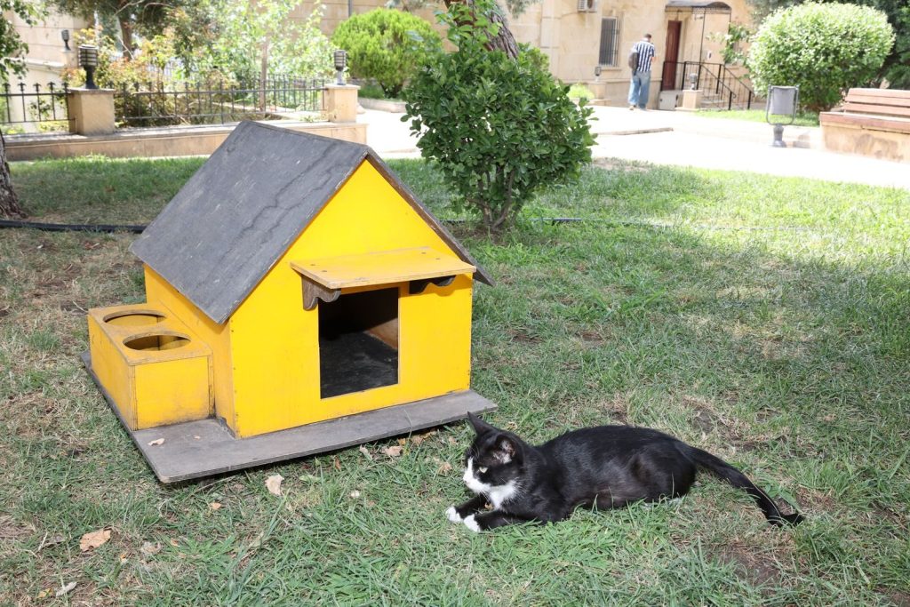 A black and white cat rests next to a bright yellow doghouse in a park setting.