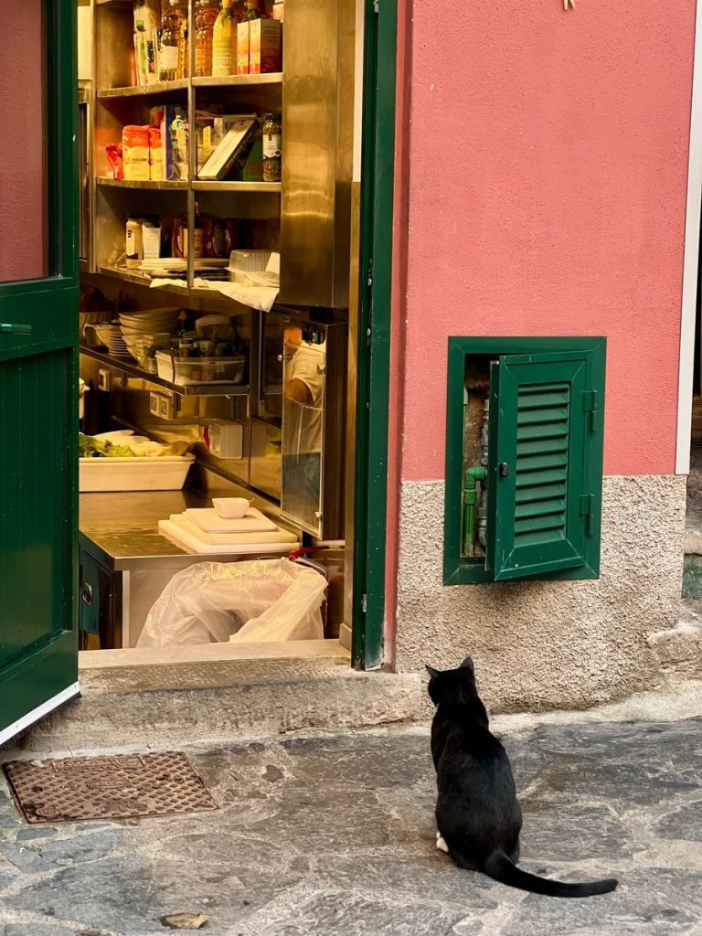 A black cat watches a busy kitchen through an open door, showing a slice of Italian life.