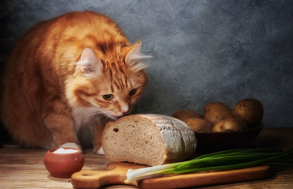 A curious ginger cat sniffs bread beside potatoes and onions in a cozy kitchen setting.