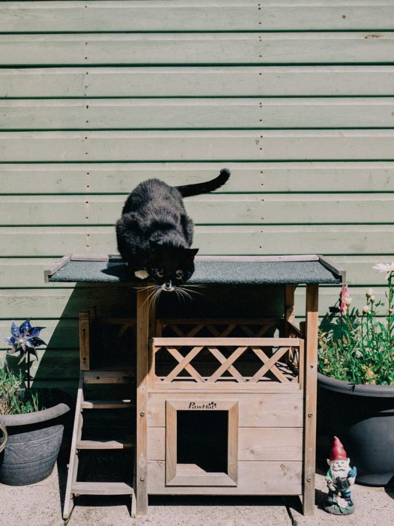 A black cat on a wooden cat house in a garden with decorative pots and gnome.