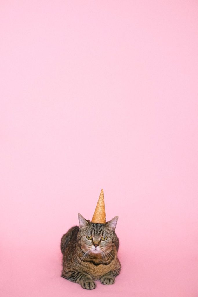 Humorous image of a tabby cat wearing a cone hat, set against a pink background, perfect for creative projects.