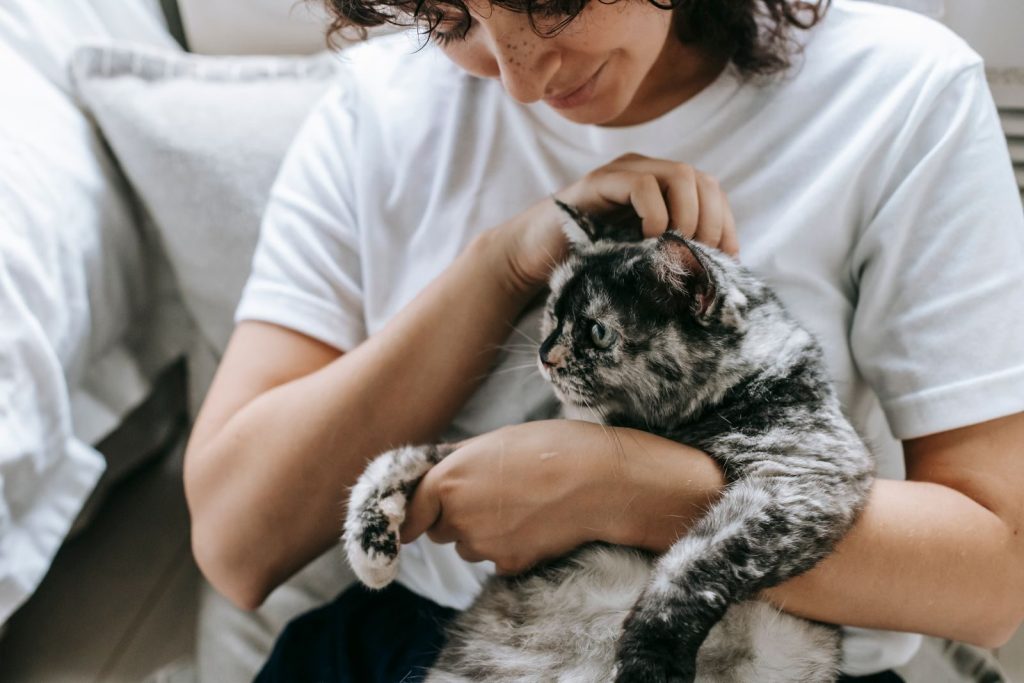 Tender female owner wearing white t shirt petting cute dappled cat while sitting on floor near bed in light room