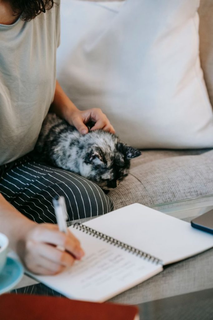 Crop unrecognizable female writing information in notebook while resting with adorable fluffy cat on sofa