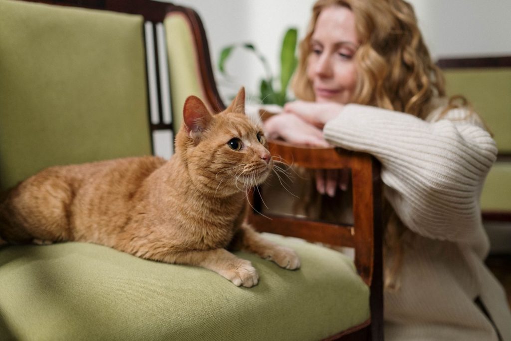 A woman enjoys a peaceful moment indoors with her ginger cat relaxing on a green armchair.