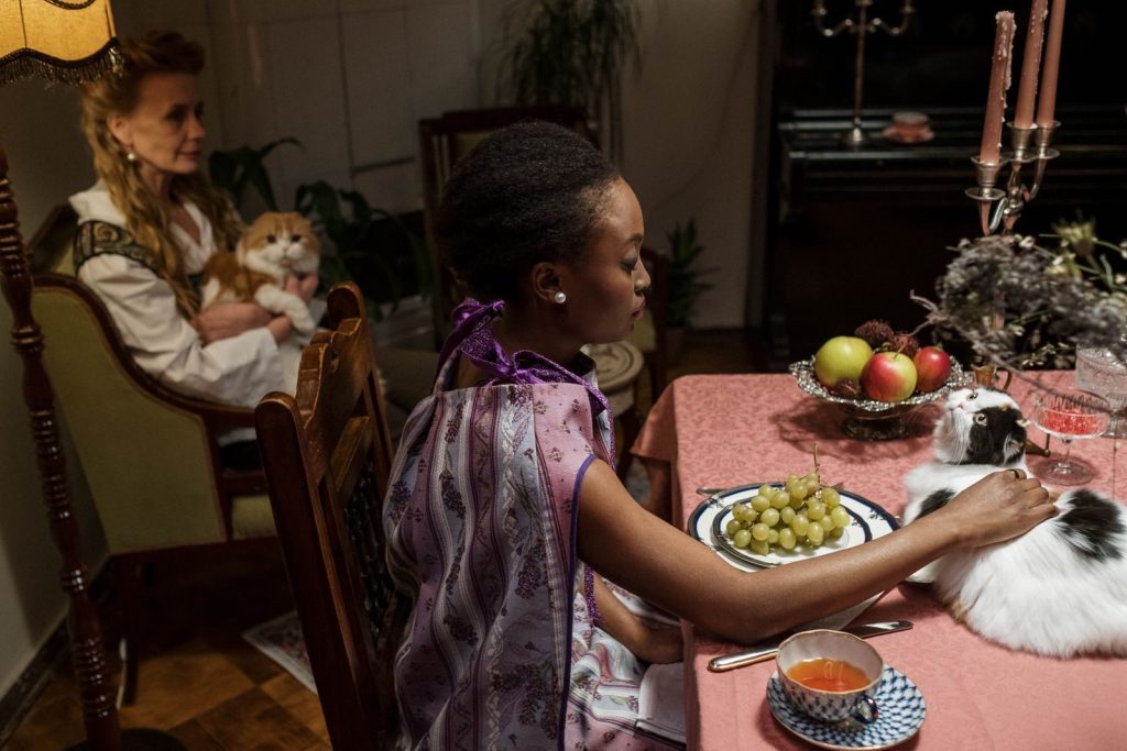 Charming indoor dinner scene with women, cats, and a table set with fruits and tea.