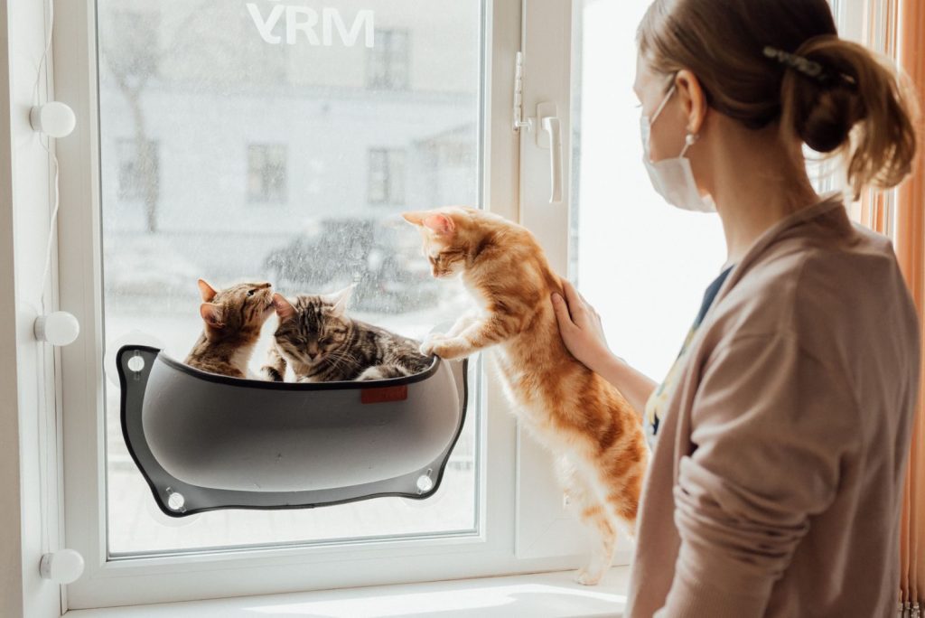 A woman wearing a mask looks at three cats lounging by the window, reflecting a cozy indoor scene.