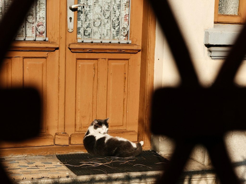A black and white cat rests on a doormat.