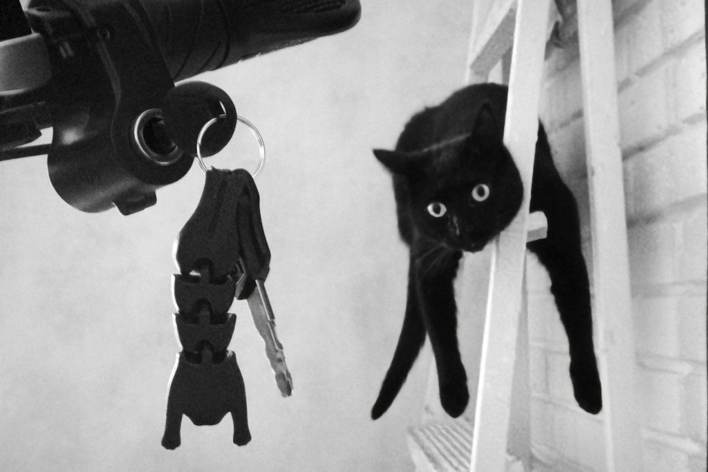 Black cat hanging from a white surface next to keys